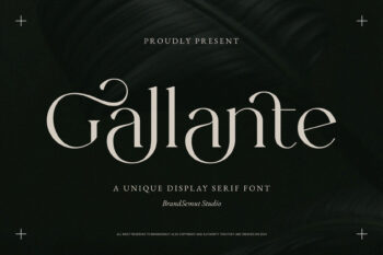 Gallante – A Unique Display Serif Font