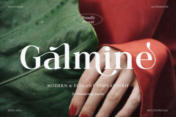 Galmine – Modern & Elegant Serif Font