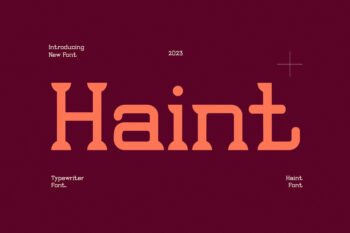 Haint - Modern Serif Font