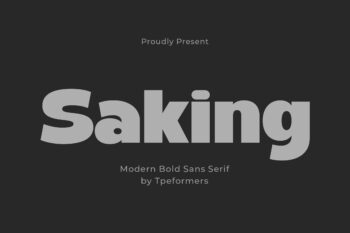 Saking - Bold Sans Serif
