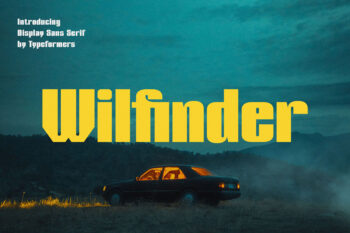 Wilfinder - Display Sans Serif