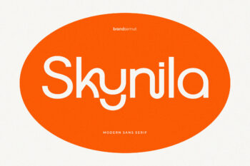 Skynila – Modern Display Sans Serif