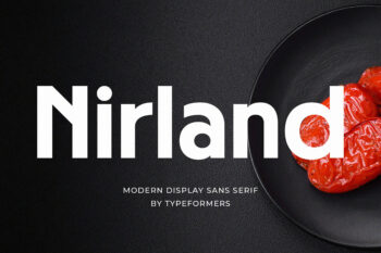 Nirland - Modern Display Sans Serif