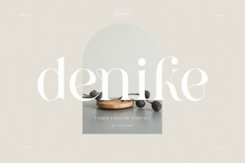 Denike - Stylish Modern Serif Font