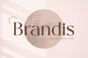 Brandis – Elegant & Modern Serif