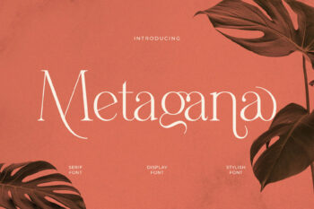 Metagana – Modern Display Serif Font