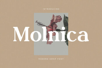 Molnica – Stylish Modern Serif Font