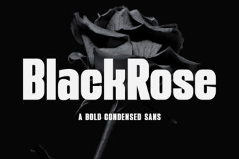 BlackRose - A Bold Condensed Sans