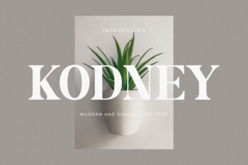 Kodney - Modern Serif Font