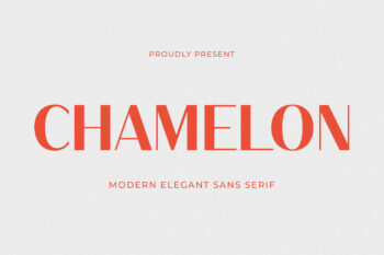 Chamelon - Modern Elegant Sans Serif