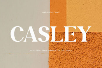 Casley - Modern Serif Font