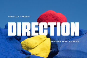 Direction – Modern Display Sans Serif