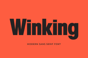 Winking - Modern Sans Serif