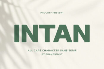 Intan - Modern Sans Serif