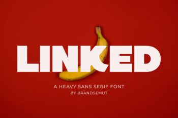 Linked – Heavy Sans Serif