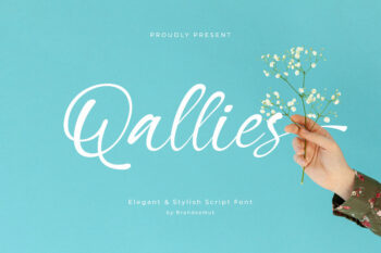 Qallies – Elegant Handwritten Fonts
