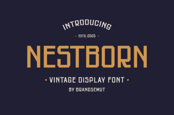 Nestborn – Vintage Display Sans Serif