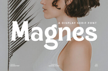Magnes - A Display Serif Font