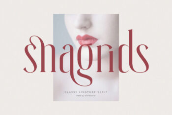 Snagrids - Classy Ligature Serif