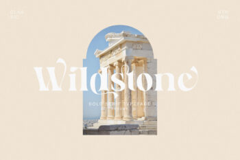 Wildstone – Ligature Serif Font