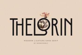 Thelorin - Modern Ligature Sans Serif
