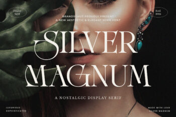 Silver Magnum – Nostalgic Display Serif Font
