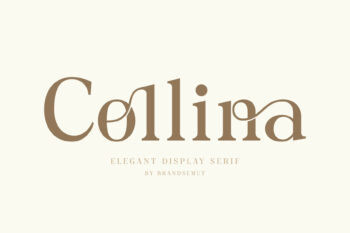 Collina - Elegant Ligature Serif Font