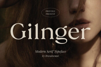 Gilnger – Modern Serif Font