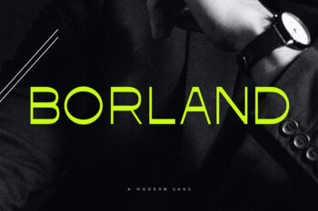 Borland Sans