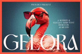 Gelora - Display Serif