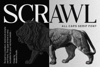 Scrawl - Serif Font