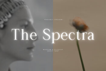The Spectra - Modern & Elegant Serif Font