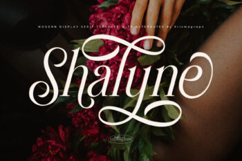 Shalyne | Modern Display Serif