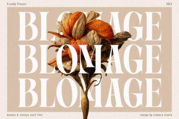 Blomage - Display Serif Font