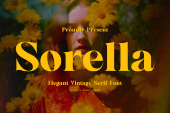 Sorella - Bold Serif Font