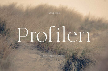 Profilen