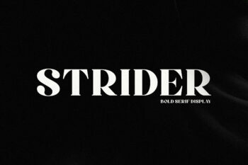 Strider