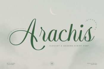 Arachis – Elegant & Modern Script Font