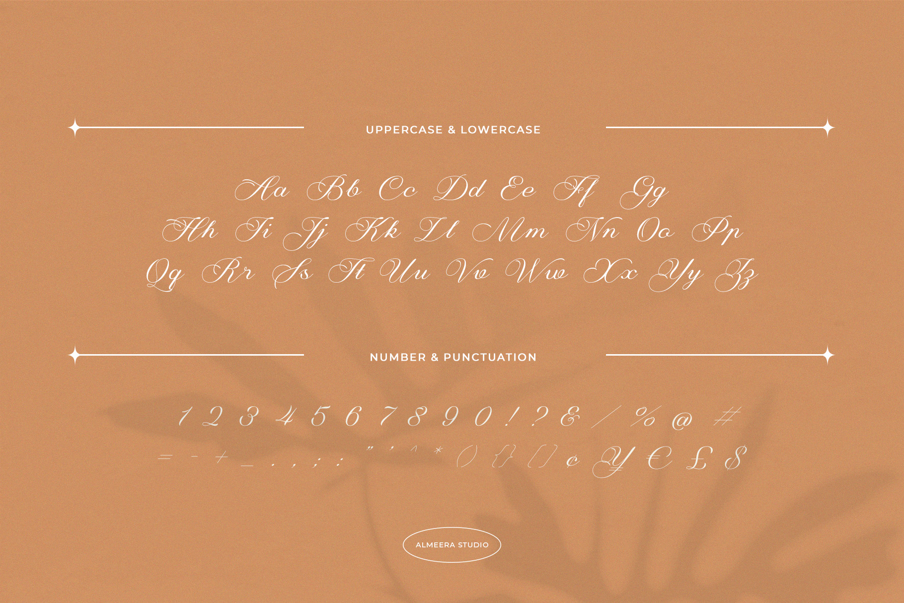 Fantasia – Elegant & Modern Script Font – Circle Font