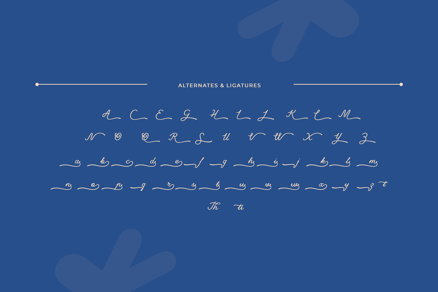 Mandy Font Mandy – Handwritten Script Font – Circle Font