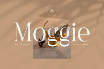 Moggie – Elegant Modern Serif Font
