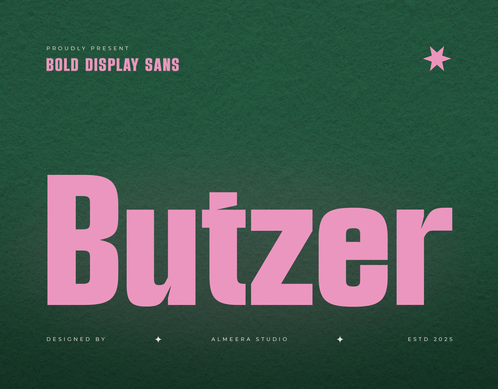 Butzer – Bold Display Sans